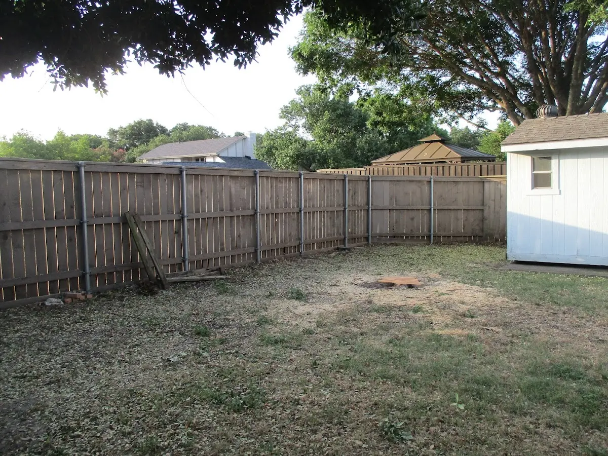 Cleared yard after professional tree removal in Rillton